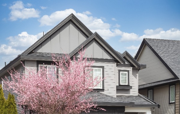 San Antonio home and crepe myrtle in the spring